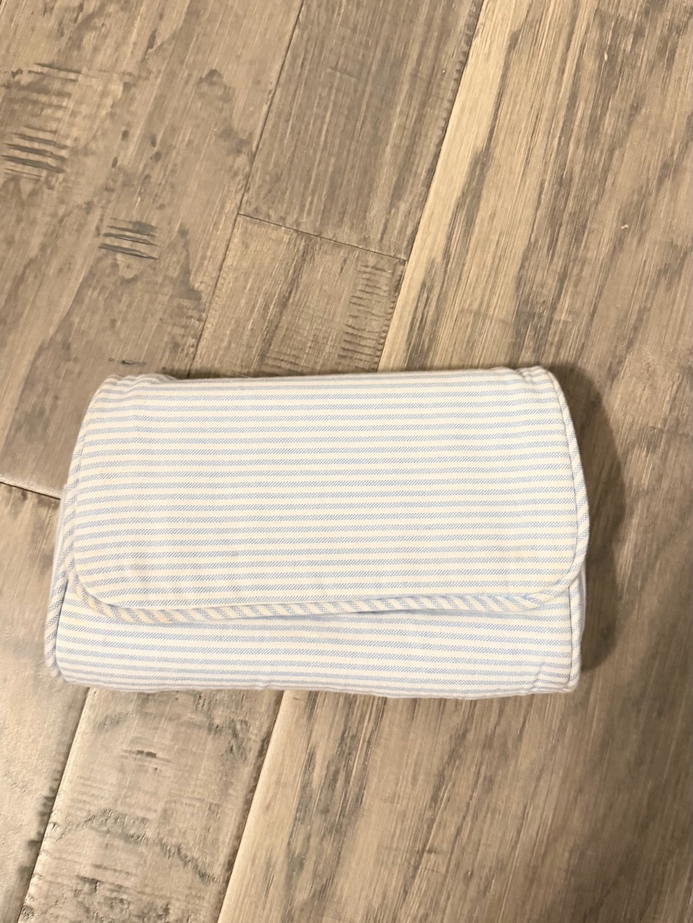 Brandy Melville Light Blue and White Striped Cosmetic Clutch